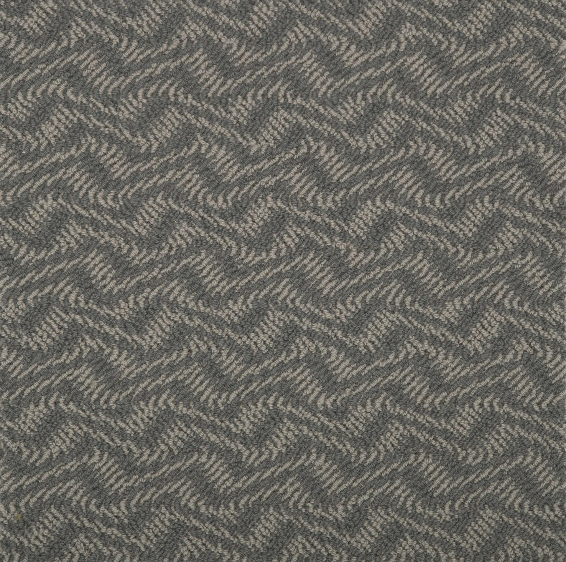 Carpet Enigma - Stargazer WE516