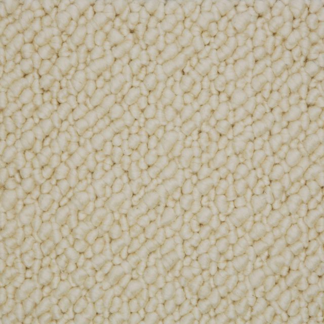 Carpet - Snug - Cotton White SN500