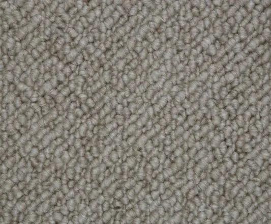 Carpet Snug Delicate Feather SN504