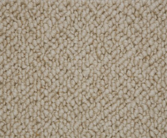 Carpet - Snug - Soft Sands SN501