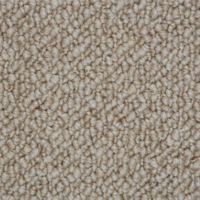 Carpet - Snug - Warm Glow SN502