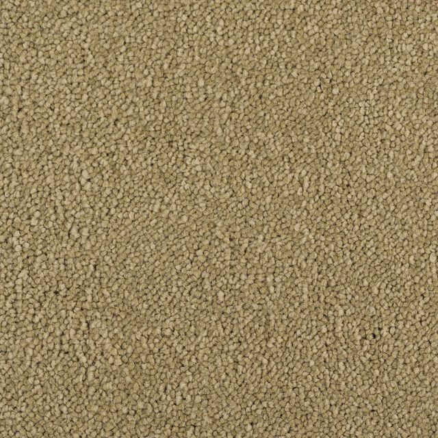 Carpet Ultimate Twist | Colour 40 Willow