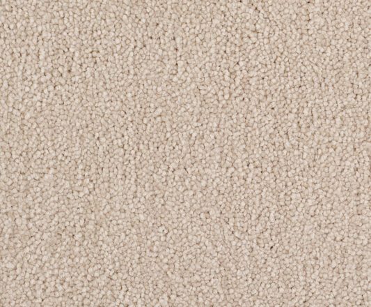 Carpet Ultimate Twist | Colour 70 Nougat