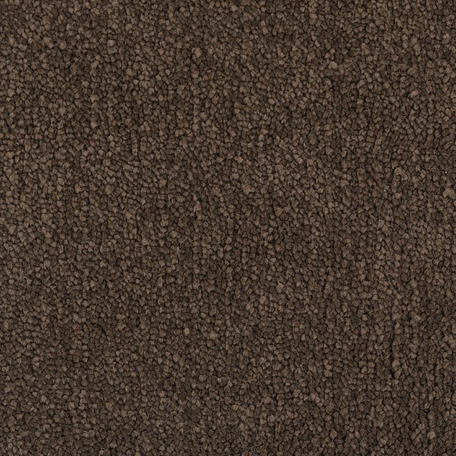 Carpet - Ultimate Twist - 95
