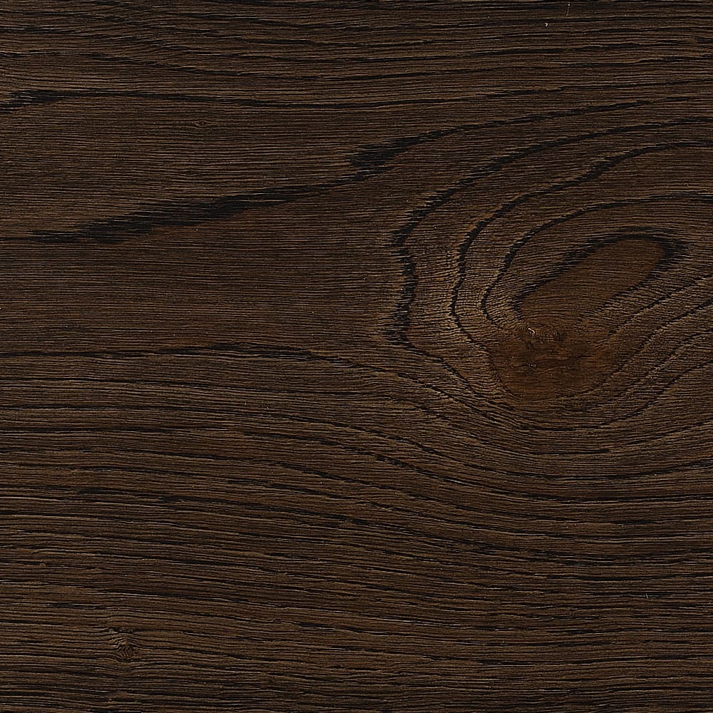 Brittany plank close up