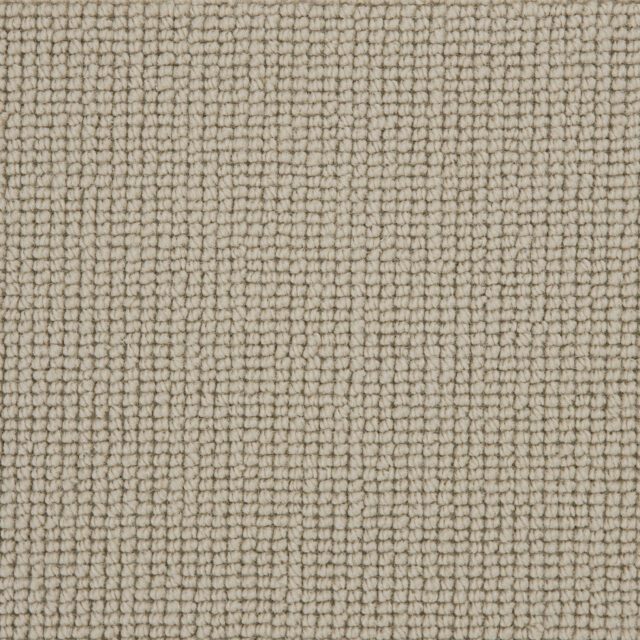 Carpet Buttercup - Gentle Oyster WB101