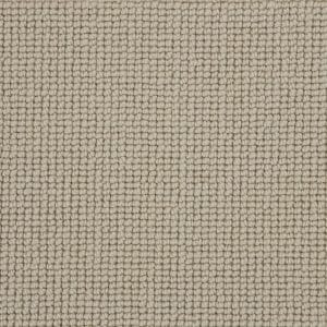 Carpet Buttercup - Gentle Oyster WB101