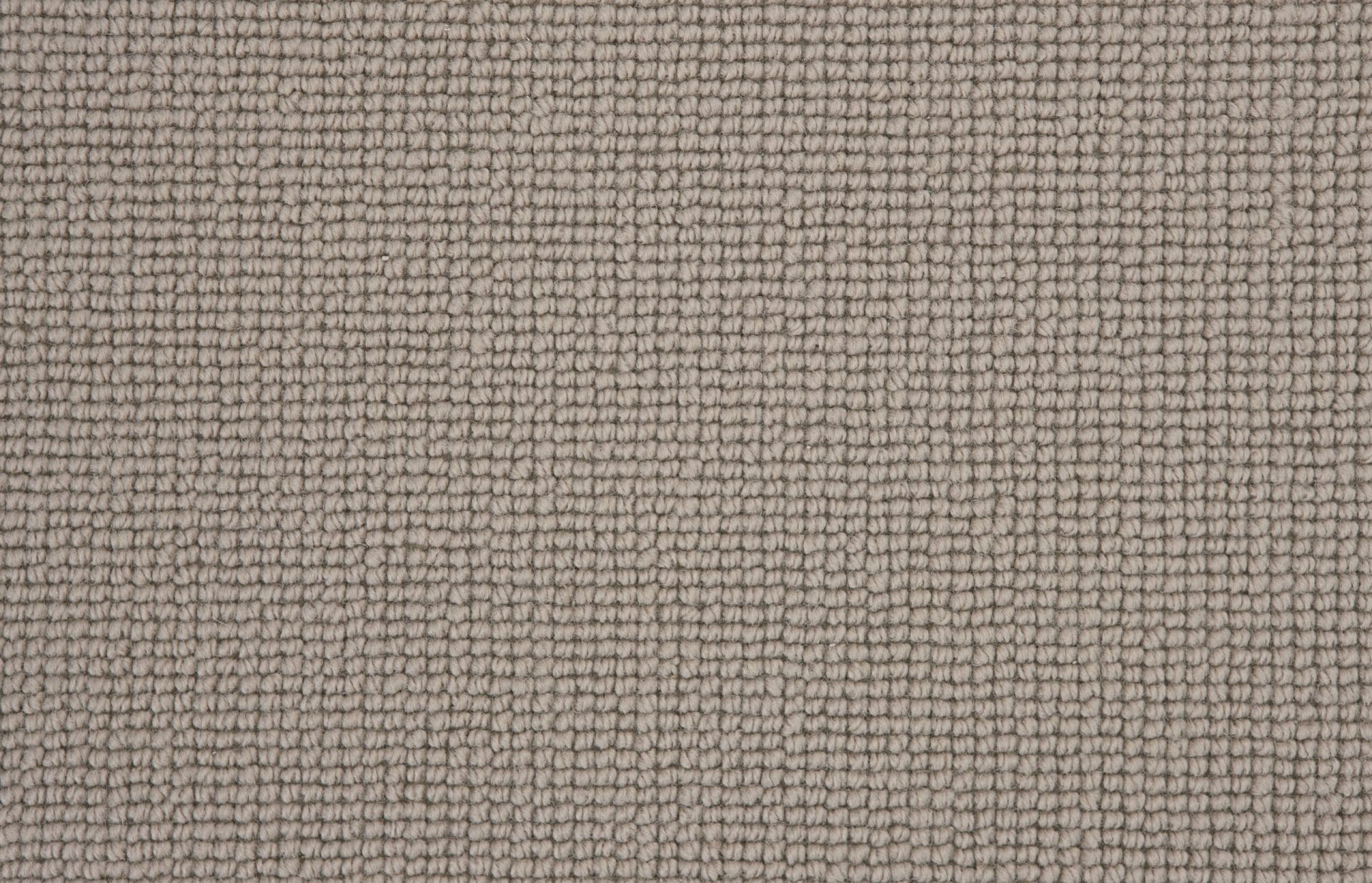 Carpet Buttercup - Soft Shell WB102