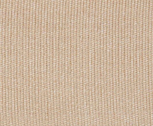 Carpet Cotton Chenille - Champagne CCN1