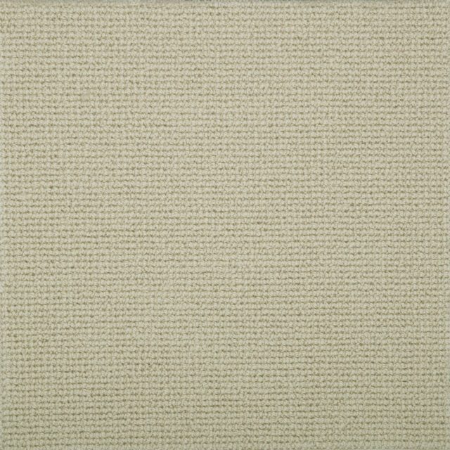 Carpet Morella - Brushed Cotton WA151
