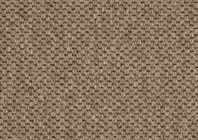Carpet Oregon - Mouse VP102