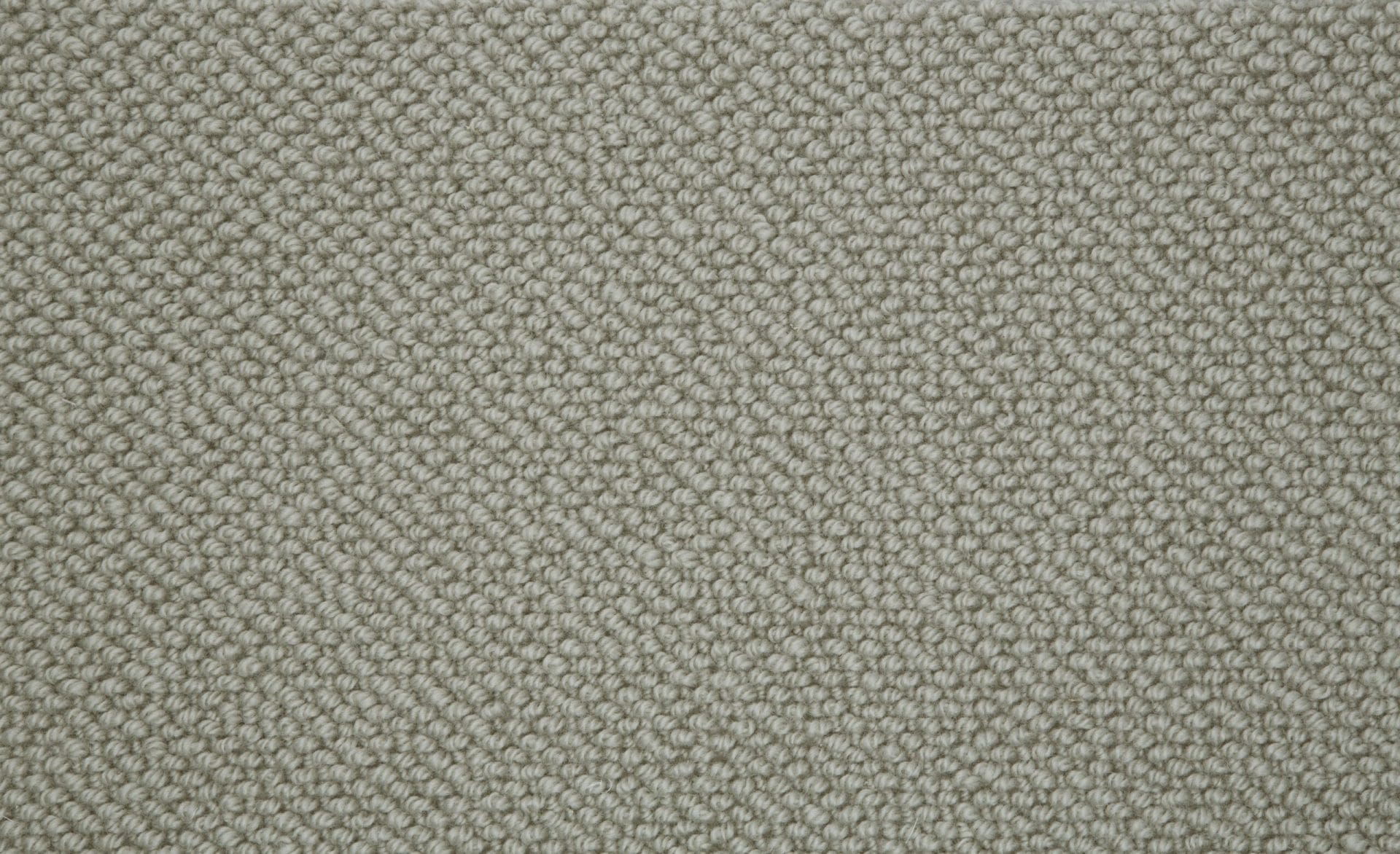 Carpet Pearl - Silver Shore WP104