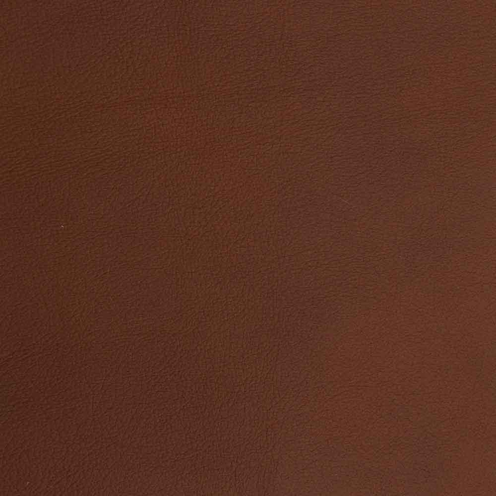 Worn Leather OL2_1242