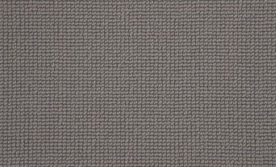 Carpet Buttercup - Warm Grey WB105