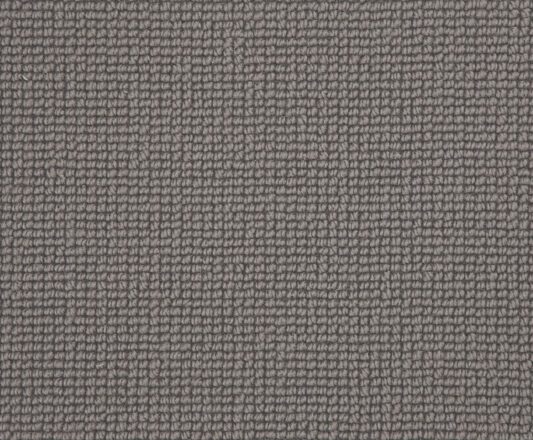 Carpet Buttercup - Warm Grey WB105