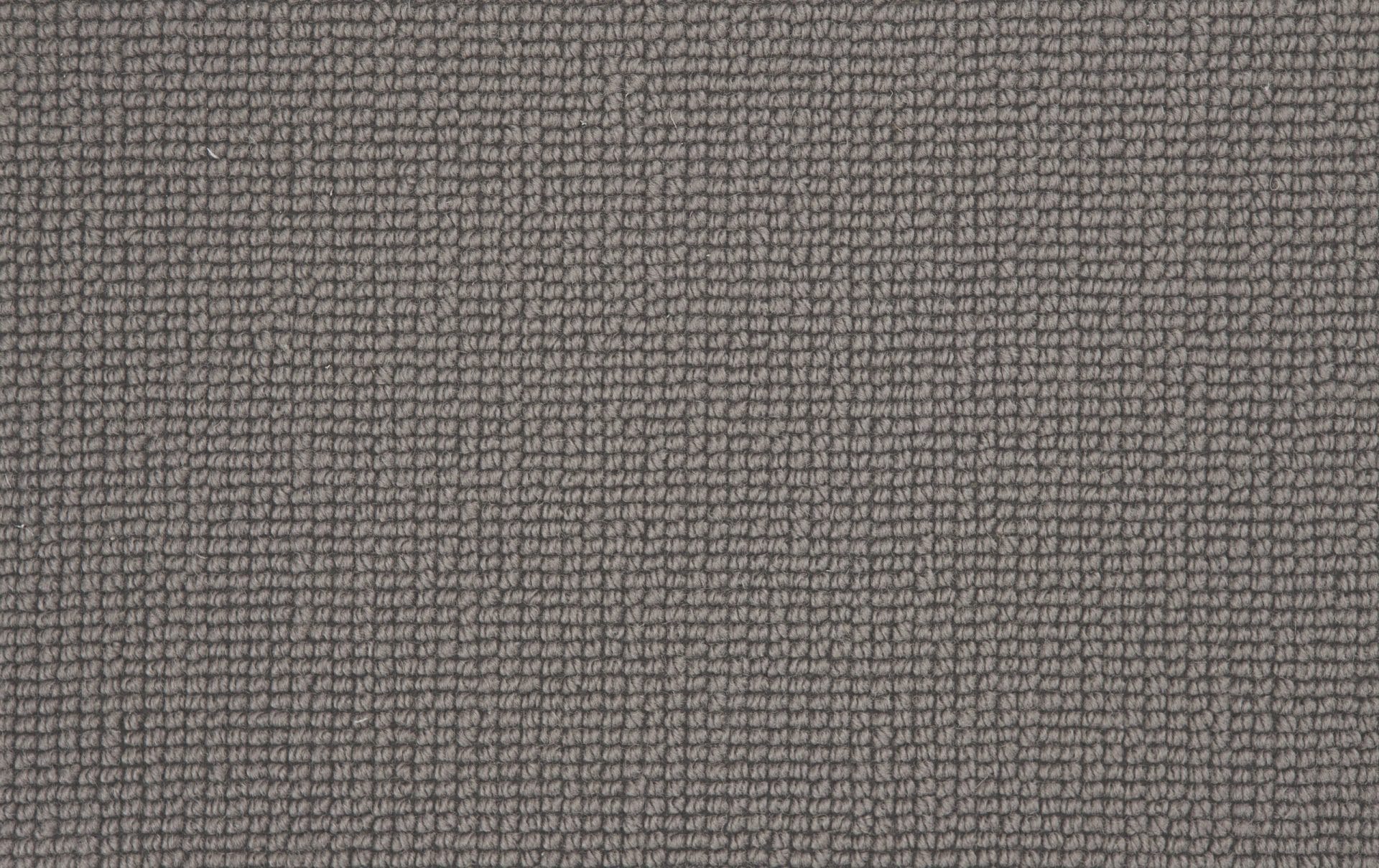 Carpet Buttercup - Warm Grey WB105