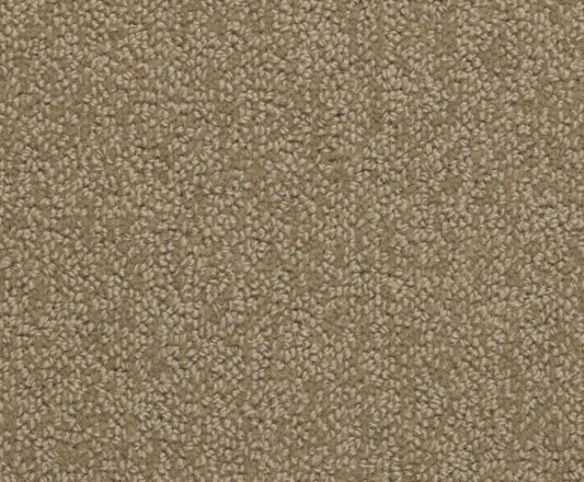 Carpet Balance - Grace BA500