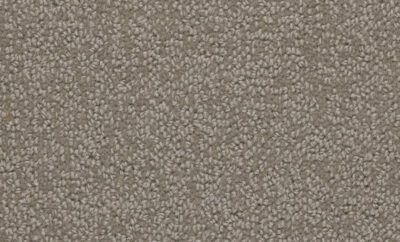 Carpet Balance - Intution BA506
