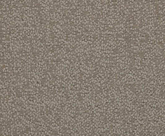 Carpet Balance - Intution BA506