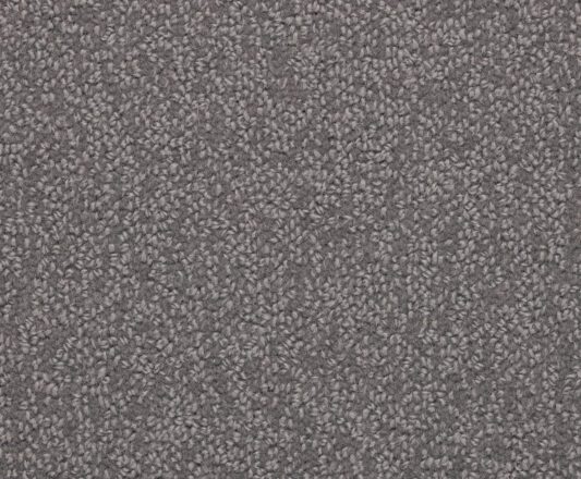 Carpet Balance - Philosophy BA504