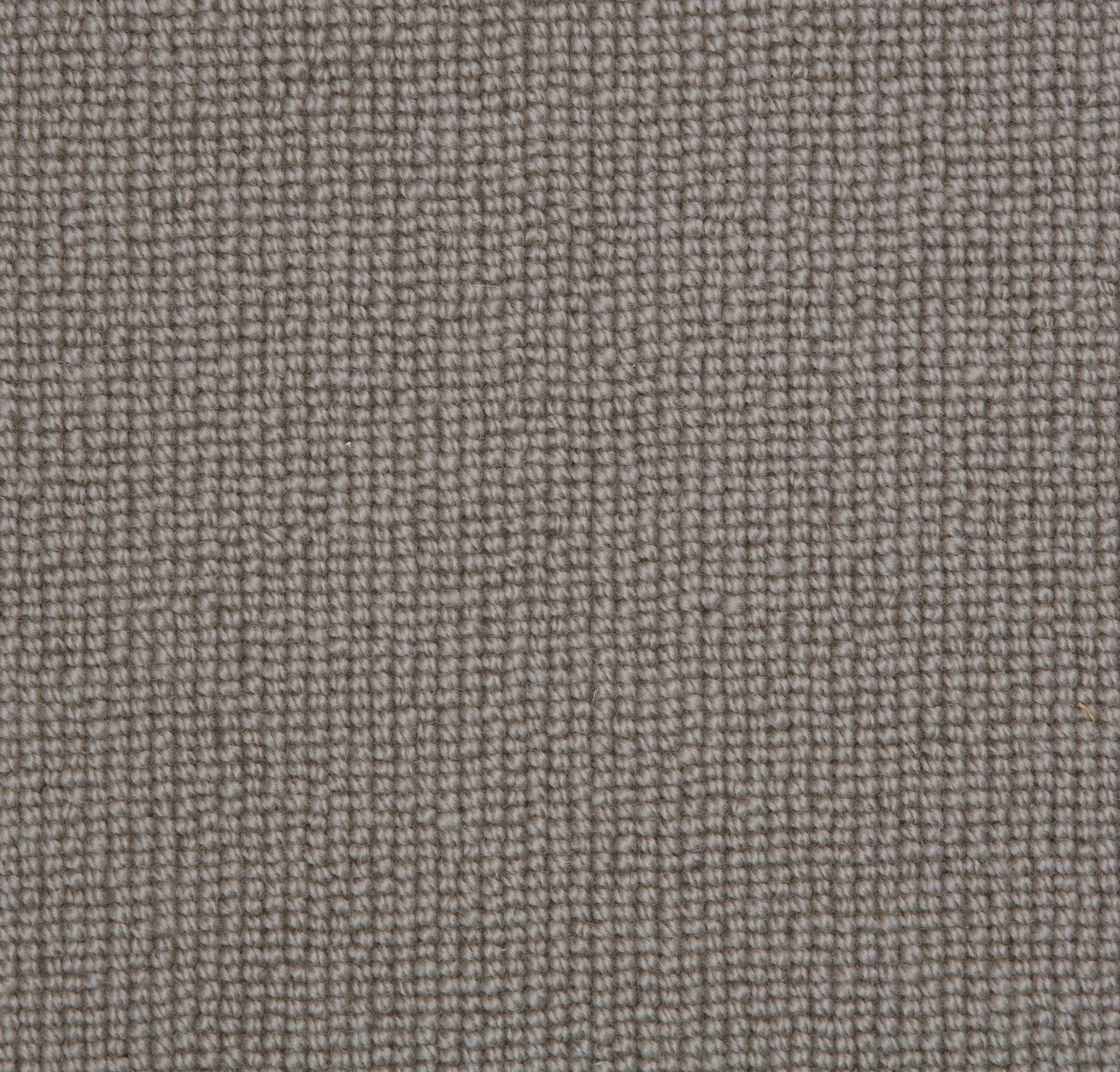 Carpet Biscayne Plain - Grey Ash BS121