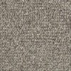 Carpet Jasmine - Silver Thistle WJ202