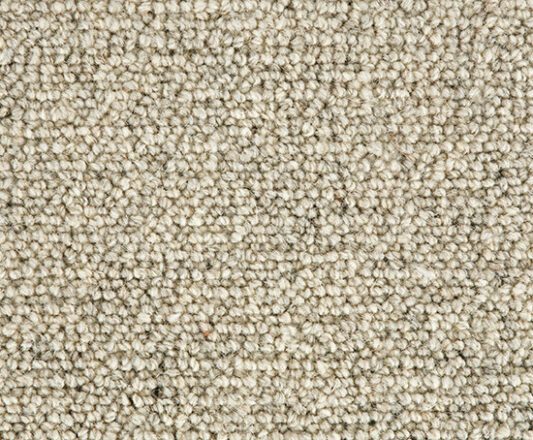 Carpet Jasmine - Spring Blossom WJ201