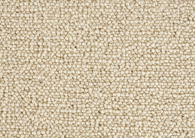 Carpet Jasmine - White Lilly WJ200