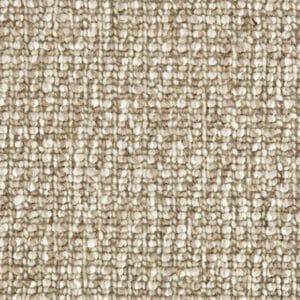 Carpet Treasure Hidden - Fossil