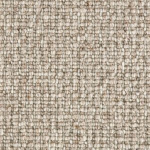 Carpet Treasure - Soft-Shell
