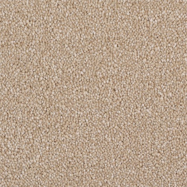 Carpet Ultimate-Twist-171