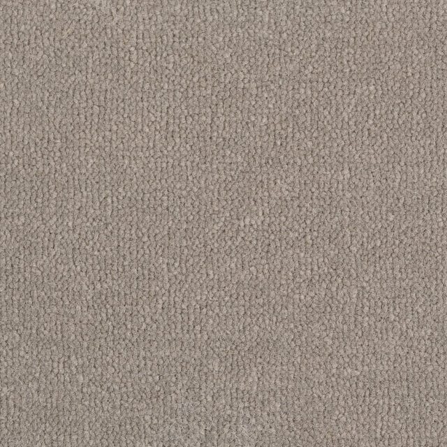 Carpet Vogue-Velvet-75